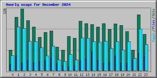 Hourly usage for December 2024