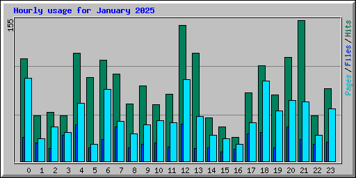 Hourly usage for January 2025