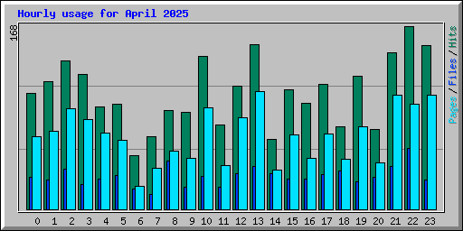 Hourly usage for April 2025