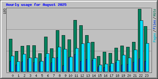 Hourly usage for August 2025