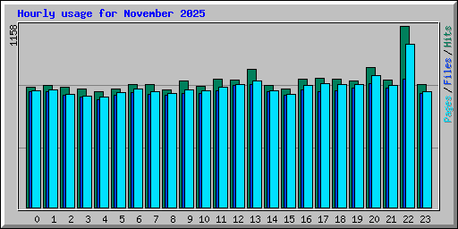 Hourly usage for November 2025
