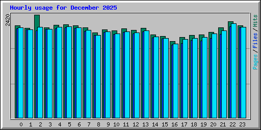 Hourly usage for December 2025