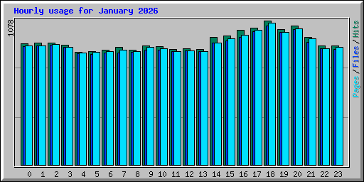 Hourly usage for January 2026